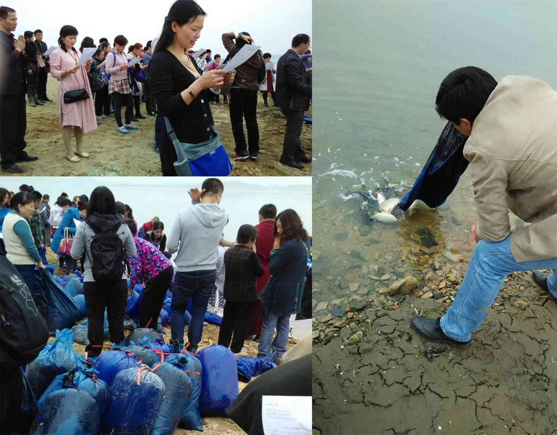【迎请舍利 奇观显现】--天中宏名轩放生活动_