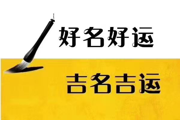 ��˾������2025��12��15�ճ����ı�����